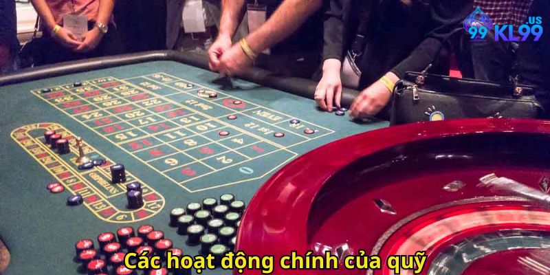 Quỹ Từ Thiện KL99: Lan Tỏa Yêu Thương Và Trách Nhiệm Xã Hội 3 Các hoạt động chính của quỹ