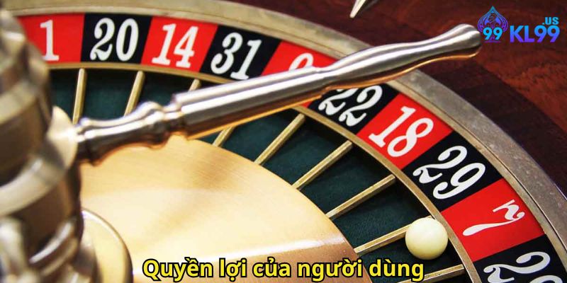 Quyền lợi của người dùng